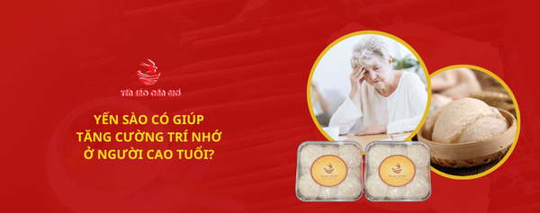 YẾN SÀO CÓ GIÚP TĂNG CƯỜNG TRÍ NHỚ Ở NGƯỜI CAO TUỔI?