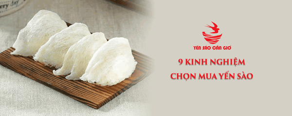 9 Kinh Nghiệm Chọn Mua Yến Sào Chất Lượng Được Tin Dùng