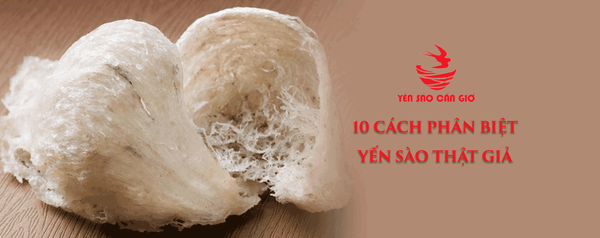 Tổng Hợp 10 Cách Phân Biệt Yến Sào Thật Giả Đơn Giản Nhất