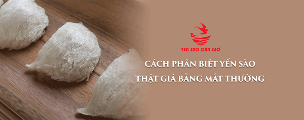 Cách Phân Biệt Yến Sào Thật Giả Bằng Mắt Thường