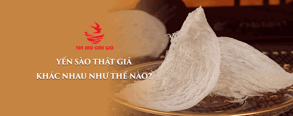 Yến Sào Thật Giả Khác Nhau Như Thế Nào - Cách Nhận Biết