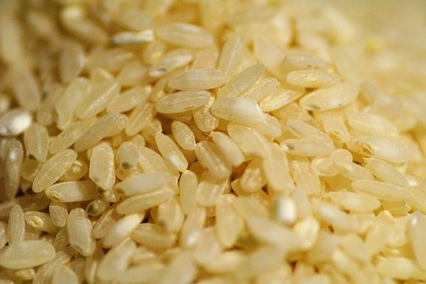 Top 3 loại gạo cho người ăn kiêng giúp giảm cân nhanh chóng