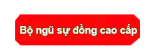 Hình ảnh mô tả