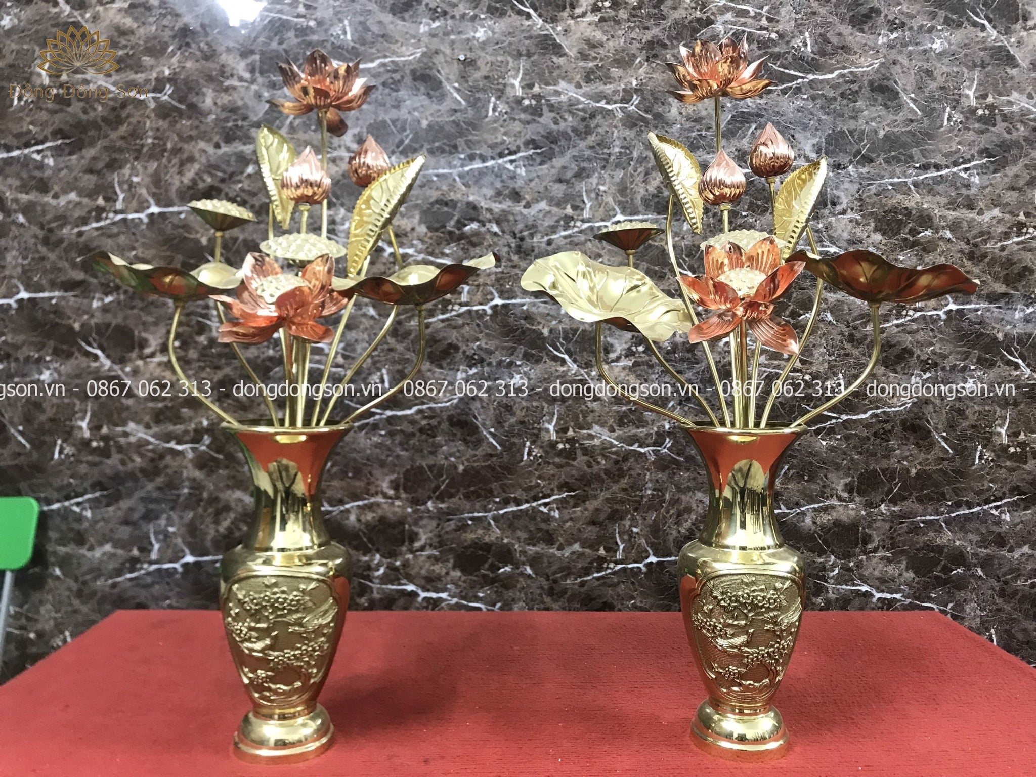 Hình ảnh mô tả