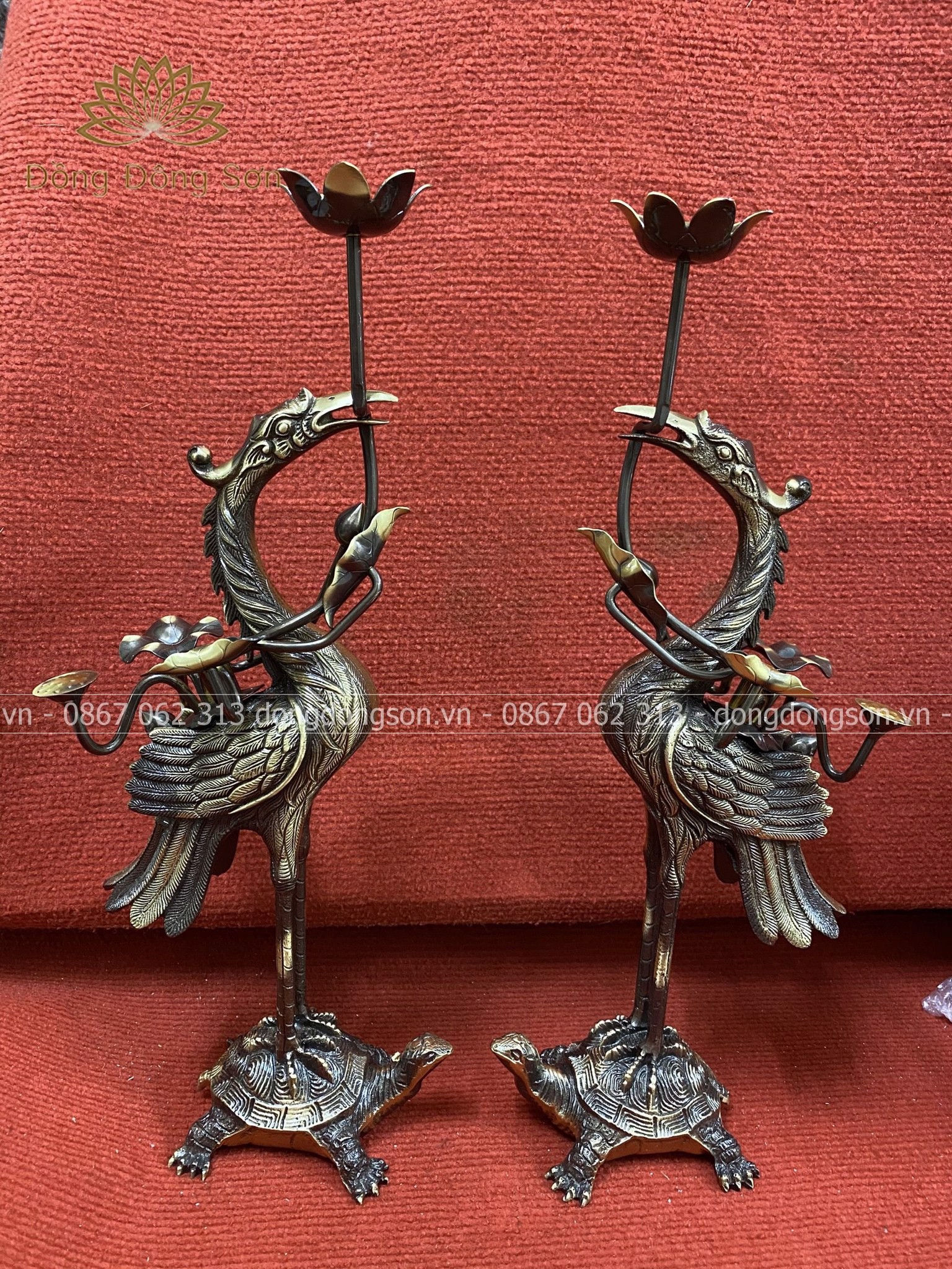 Hình ảnh mô tả