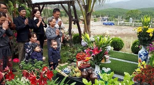 Hình ảnh mô tả
