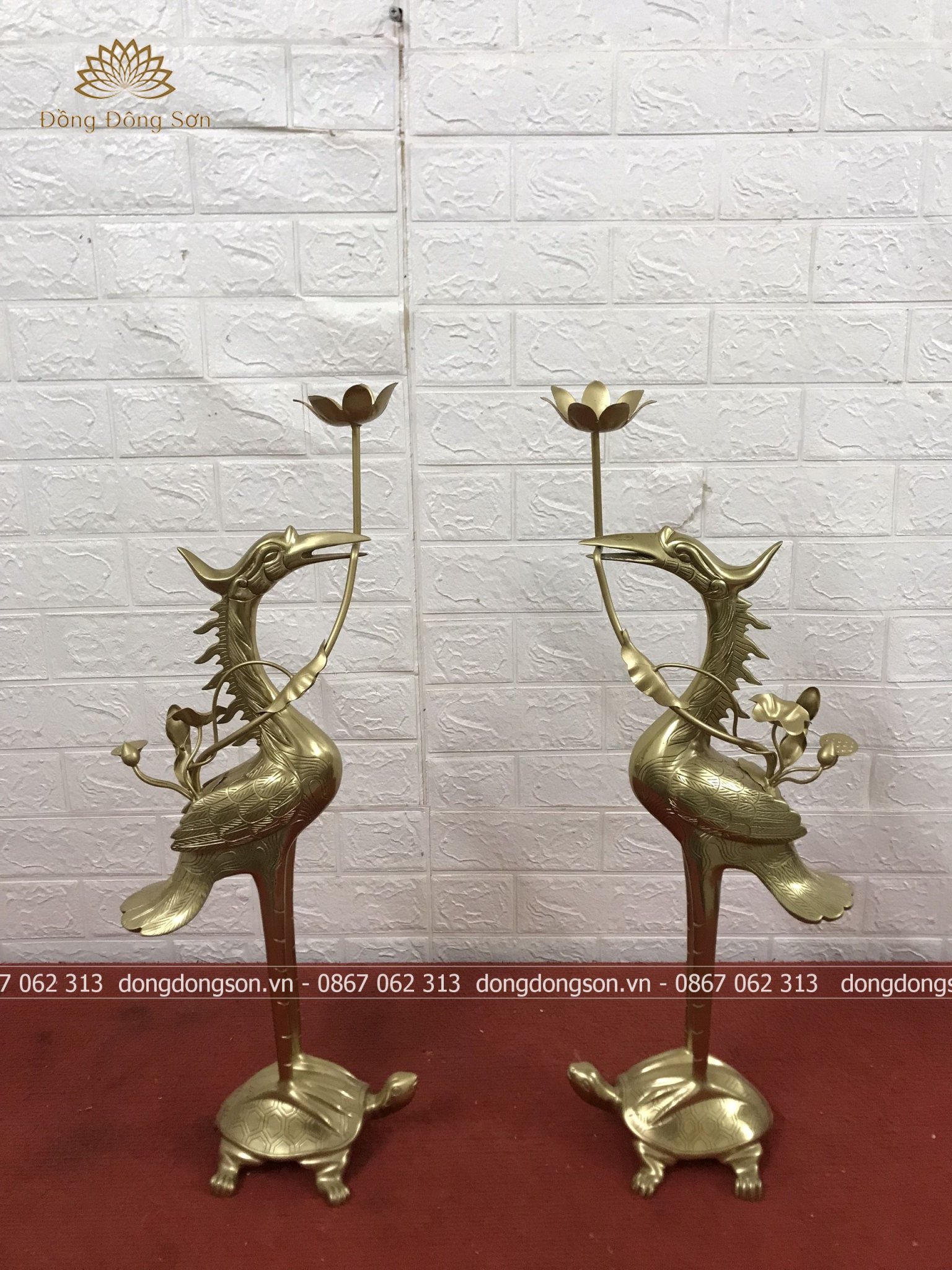 Hình ảnh mô tả