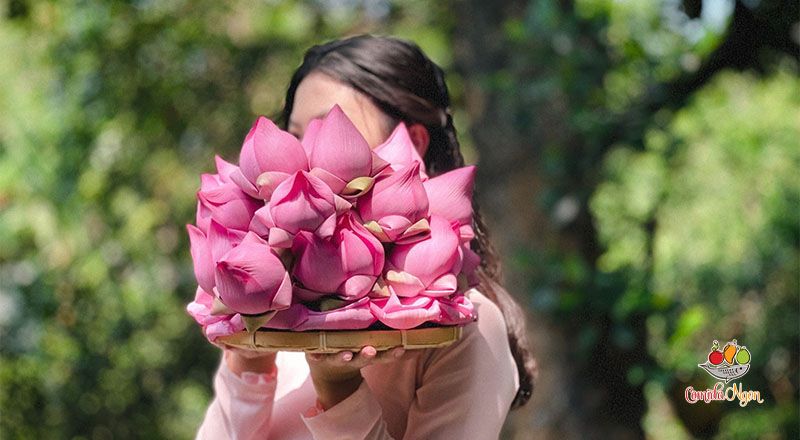 Nên Chọn Những Loài Hoa Nào Làm Hoa Lễ Cúng Rằm Tháng 7? – Comida Ngon