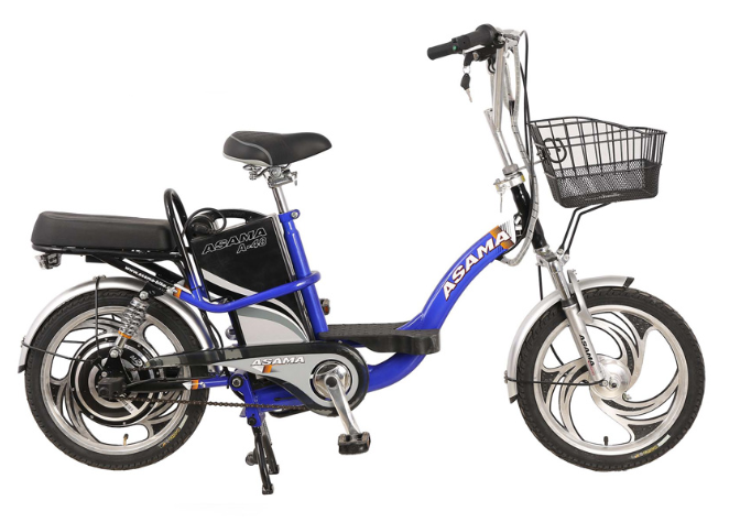Ắc quy xe đạp điện Asama A48