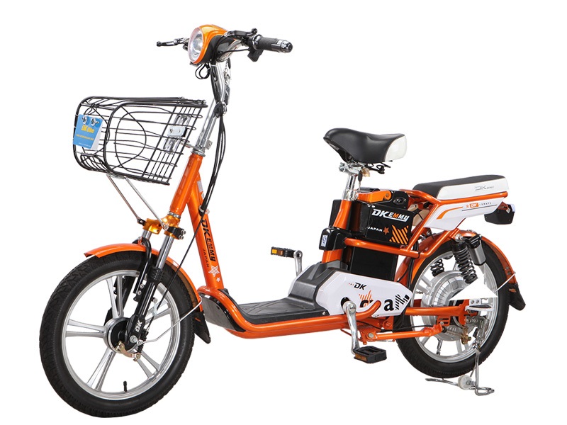 Ắc quy xe đạp điện DK-Bike Emmy
