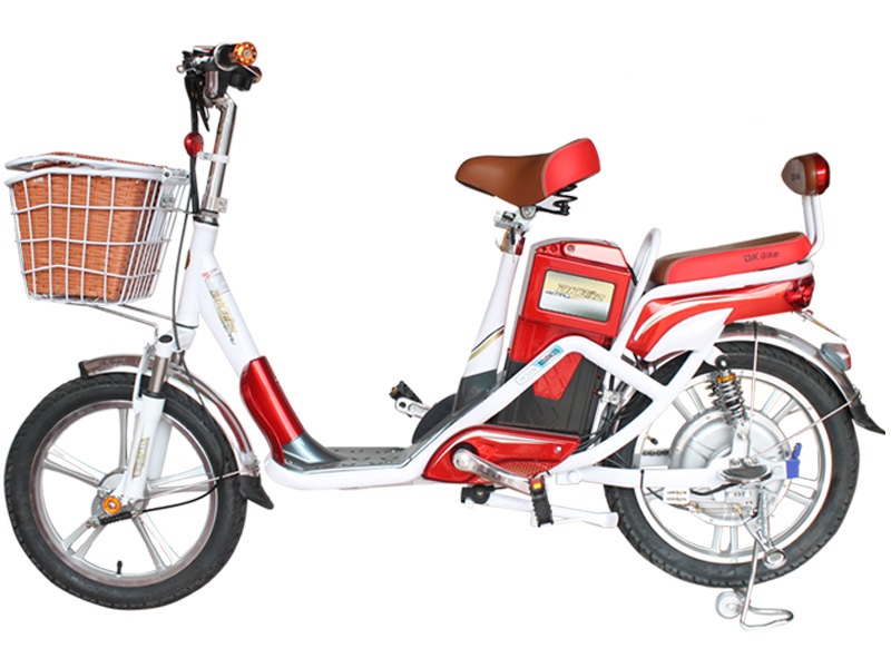 Ắc quy xe đạp điện DK-Bike Hiraru