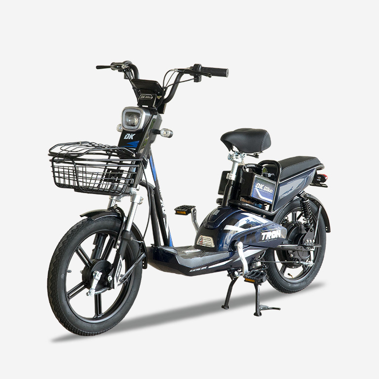 Ắc quy xe đạp điện DK-Bike Tron