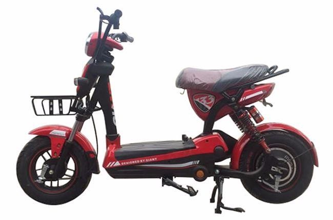 Ắc quy xe đạp điện Giant 133+