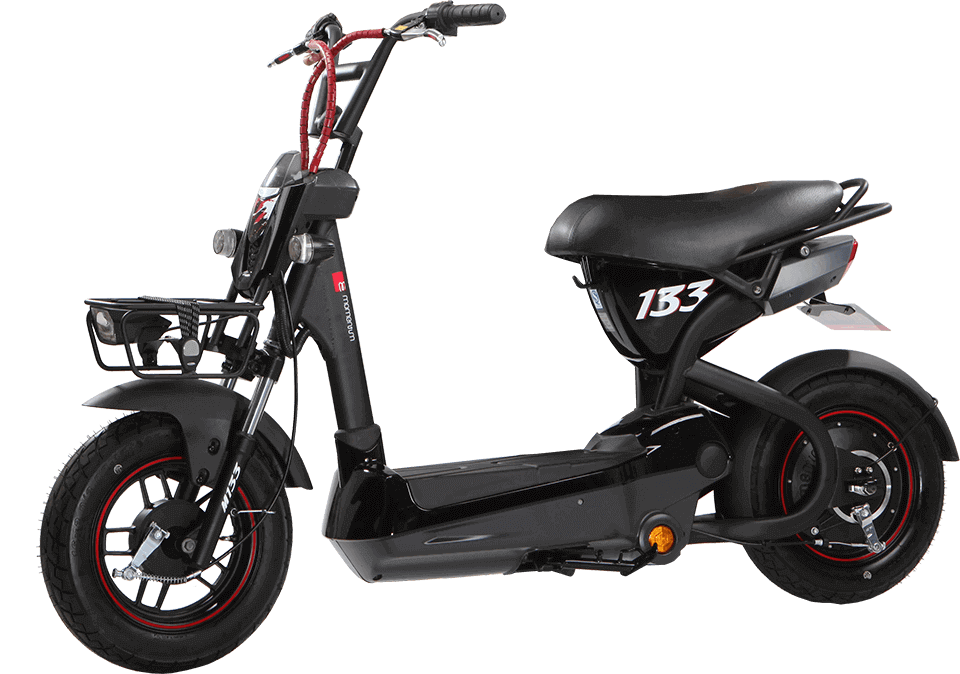 Ắc quy xe đạp điện Giant M 133+