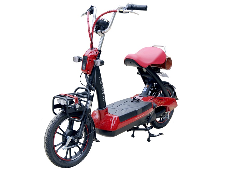 Ắc quy xe đạp điện Giant M 137