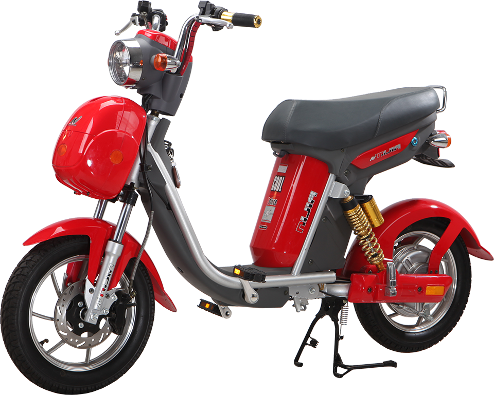 Ắc quy xe đạp điện Nijia S