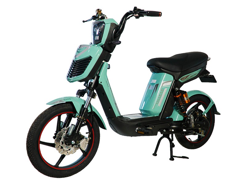 Ắc quy xe đạp điện Osakar Alpha Sport