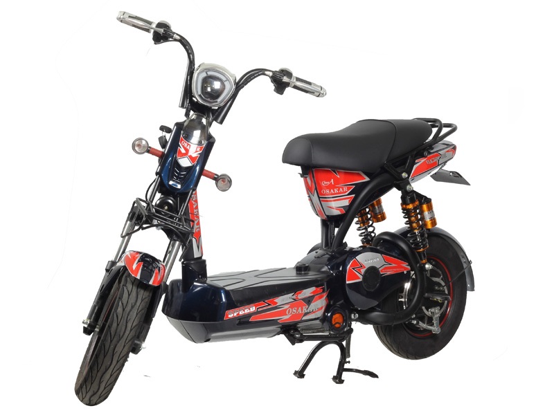 Ắc quy xe đạp điện Osakar One A