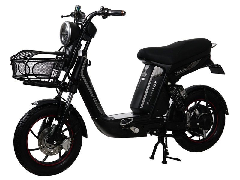Ắc quy xe đạp điện Osakar Stars
