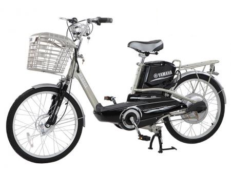 Ắc quy xe đạp điện Yamaha Yasuda
