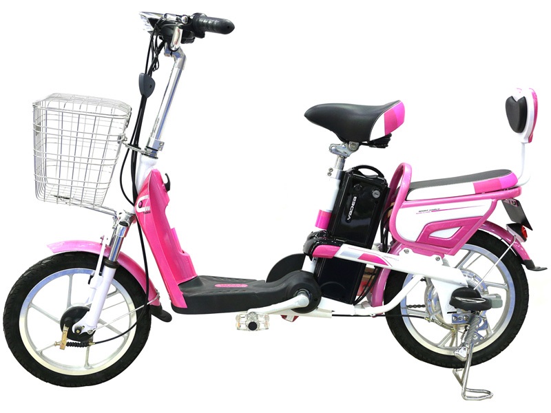 Ắc quy xe đạp điện Yedea Brio A6081