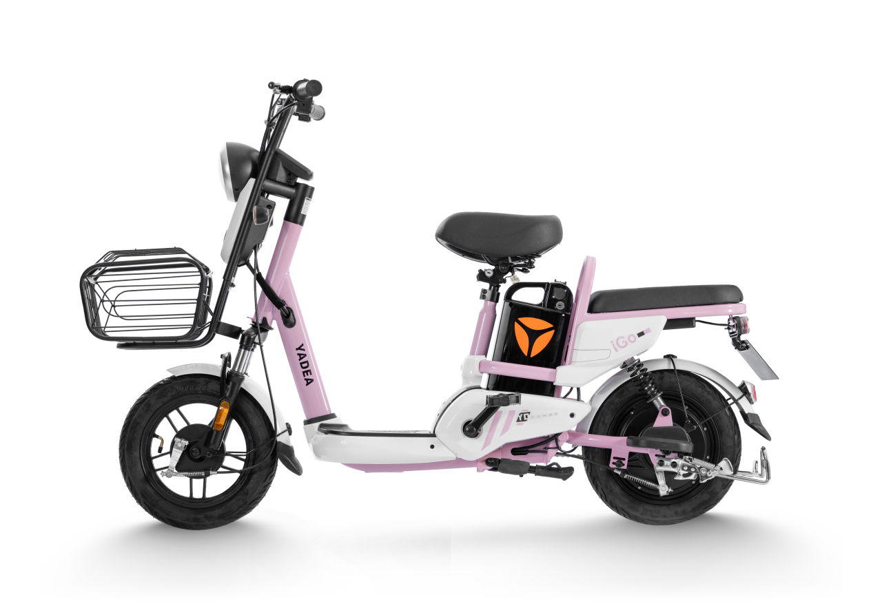 Ắc quy xe đạp điện Yedea I-Go