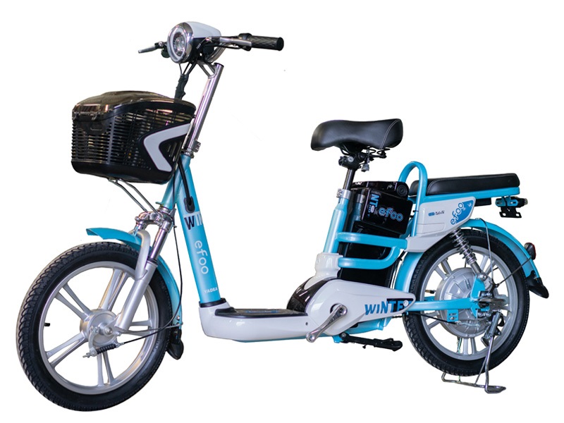 Ắc quy xe đạp điện Yedea Winter Efoo