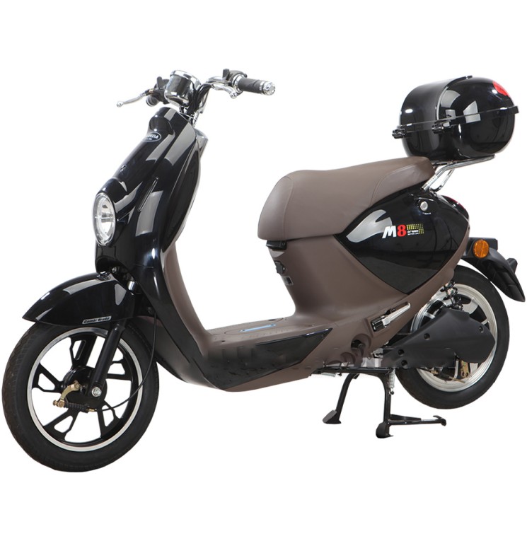 Ắc quy xe máy điện Honda M8