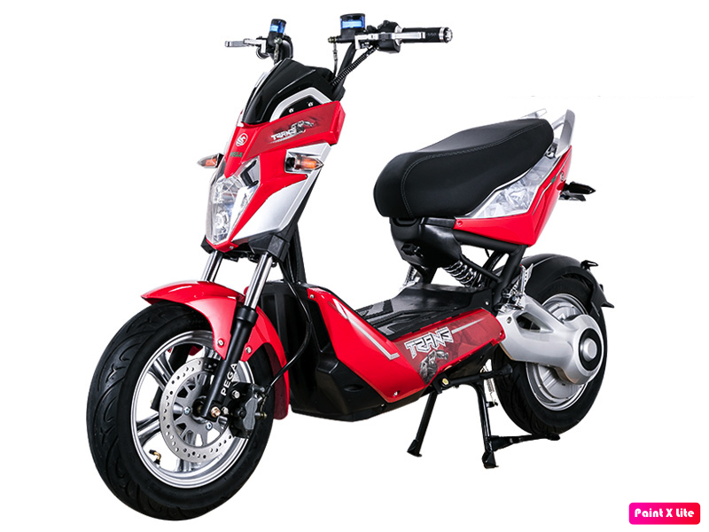 Ắc quy xe máy điện Pega-HKBike Trans