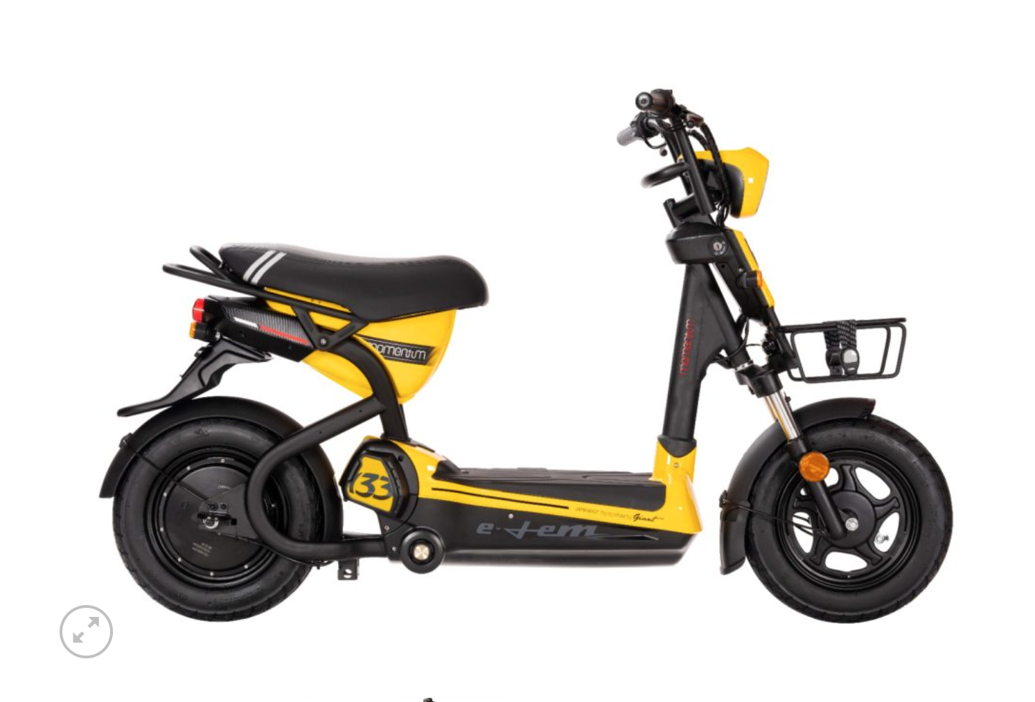 Ắc quy xe máy điện Giant Elem 133