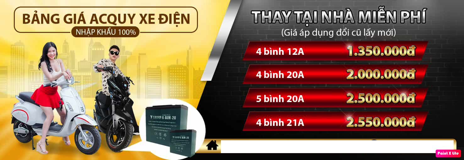 Ắc quy xe đạp điện - xe máy điện