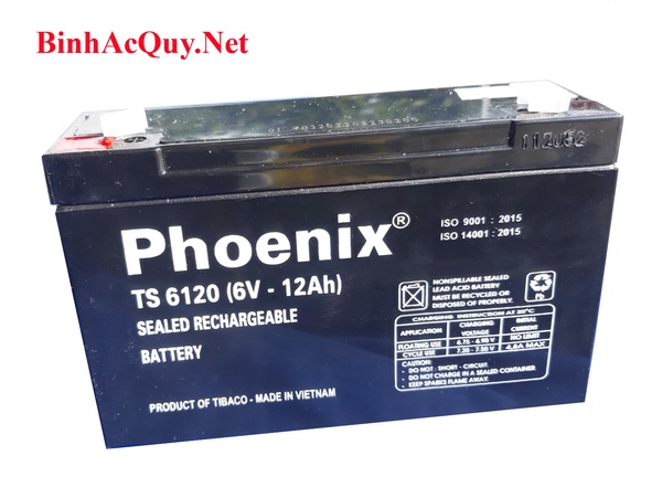 ắc quy phoenix TS 6120 6V 12AH