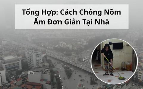 Tổng Hợp: Cách Chống Nồm Ẩm Đơn Giản Tại Nhà