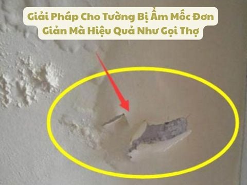 Giải Pháp Cho Tường Bị Ẩm Mốc Đơn Giản Mà Hiệu Quả Như Gọi Thợ