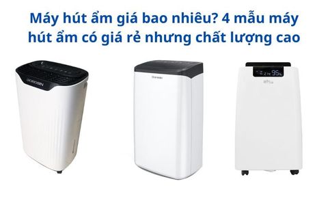 Máy hút ẩm giá bao nhiêu? 4 mẫu máy hút ẩm có giá rẻ, chất lượng cao
