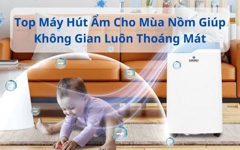 Top Máy Hút Ẩm Cho Mùa Nồm Giúp Không Gian Luôn Thoáng Mát