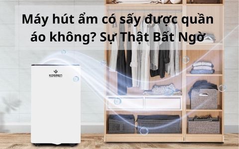 Máy hút ẩm có sấy được quần áo không? Sự Thật Bất Ngờ