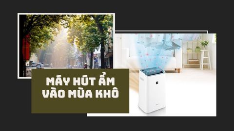 Sử dụng máy hút ẩm vào mùa khô có cần thiết hay không?