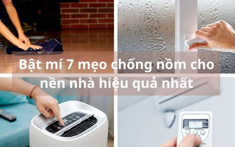 Bật mí 7 mẹo chống nồm cho nền nhà hiệu quả nhất