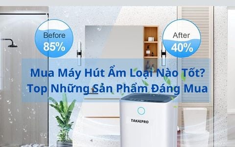 Mua Máy Hút Ẩm Loại Nào Tốt? Top Những Sản Phẩm Đáng Mua