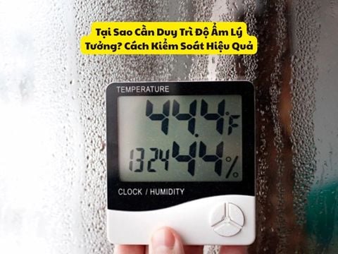 Tại Sao Cần Duy Trì Độ Ẩm Lý Tưởng? Cách Kiểm Soát Hiệu Quả
