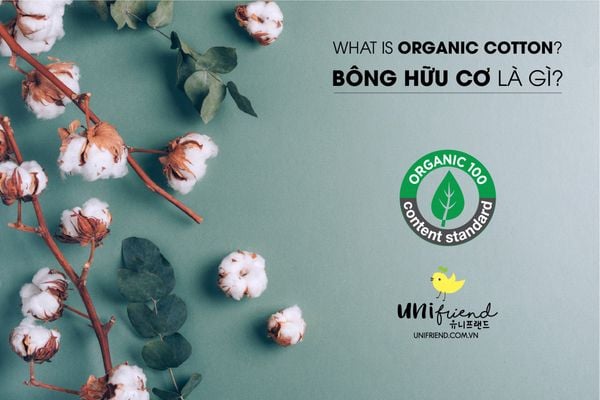 ORGANIC COTTON là gì?