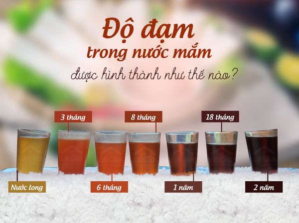 ĐỘ ĐẠM TRONG NƯỚC MẮM