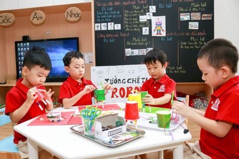 TOP Các Hoạt Động Ngoại Khóa Cho Trẻ Em HOT Nhất 2024