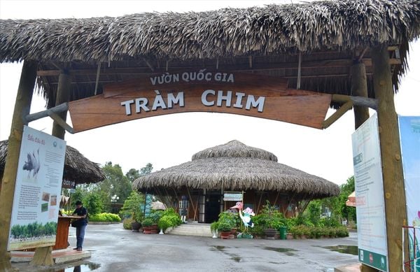 địa điểm vui chơi 1-6 ở cần thơ