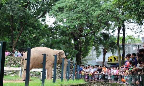 Khu vui chơi trẻ em ở Hà Nội, công viên Thủ Lệ