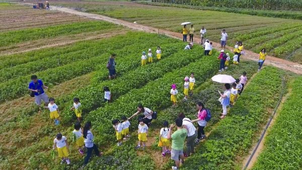 hoạt động ngoại khóa cho bé