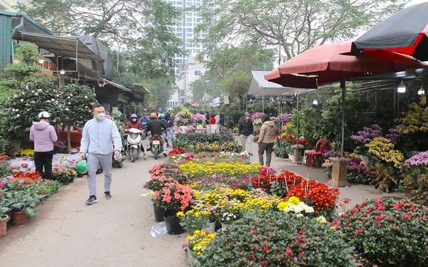 Địa điểm vui chơi Tết Nguyên Đán Giáp Thìn 2024 ở Hà Nội - Chợ hoa cây cảnh Vạn Phúc