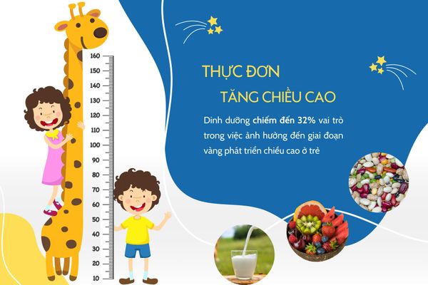 thực đơn tăng chiều cao