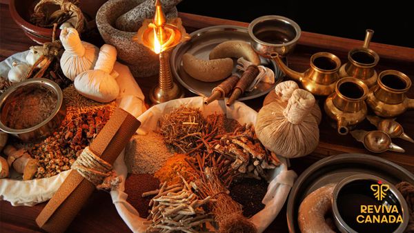 Tìm hiểu về các loại thảo mộc Ayurvedic